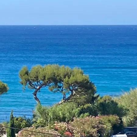 Lägenhet Face A La Mer, Et Son Cap Canaille *